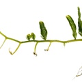 REF201711245308