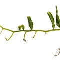 REF201711245316