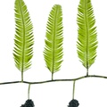 REF201708261017