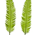 REF201708261034