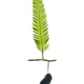 REF201708261069