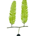 REF201708261072