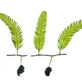 REF201708261074