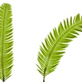 REF201708261078