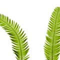 REF201708261081