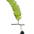 REF201708261089