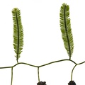 REF201709014140