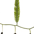REF201709014150