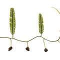 REF201709014167