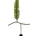 REF201709014171