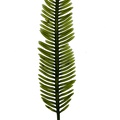 REF201709014172