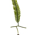 REF201709014183