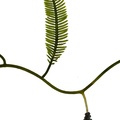 REF201709014197