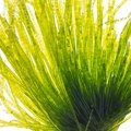 REF201807092003