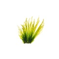 REF201807092011