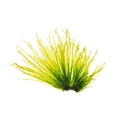 REF201807092022