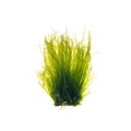 REF201807092032