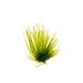 REF201807092049