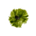 REF201712082807