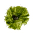 REF201712082813