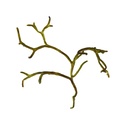 REF201804229067