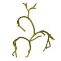 REF201804229076