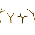 REF201804229223