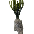 REF201711300349