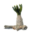 REF201711300446