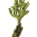 REF201711300512