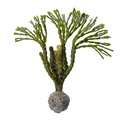 REF201711300533