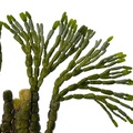 REF201711300536