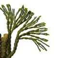 REF201711300556