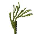 REF201711300743