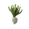 REF201711300746