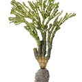 REF201711300783