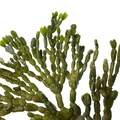 REF201711300802