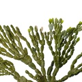 REF201711300809