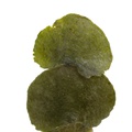 REF201804178703