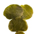 REF201804178833