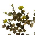 REF201805011107
