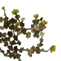 REF201805011109