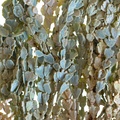 REF201711054060