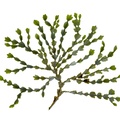 REF201711054066