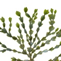 REF201711054069
