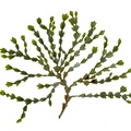 REF201711054079