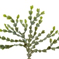 REF201711054083