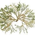 REF201711054100