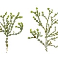 REF201711054155