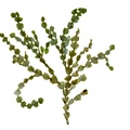 REF201711054166